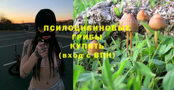 mdma Новозыбков