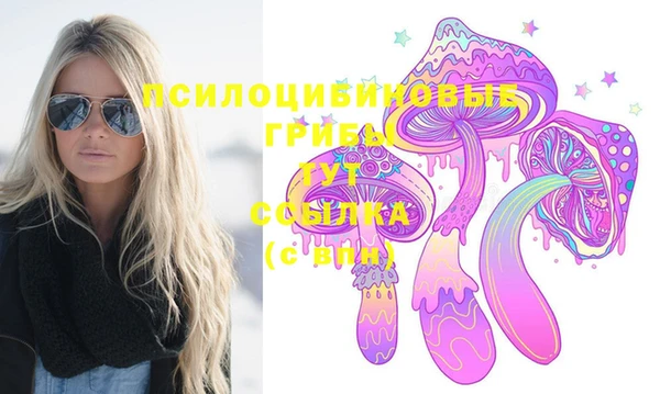 mdma Новозыбков