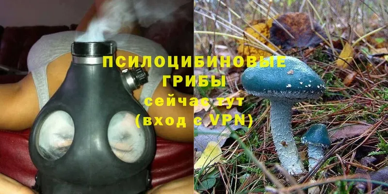 мега ССЫЛКА  Новоульяновск  Галлюциногенные грибы Psilocybe 